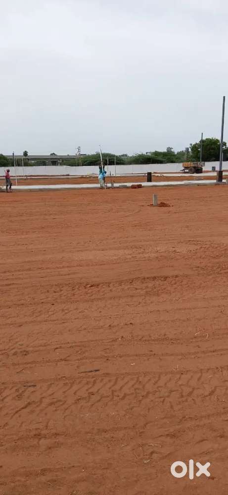 Panjappur to Pudukkottai road Bharathidasan university opposite