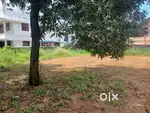 30 cents p residential polt for sale at Thiruvankulam.