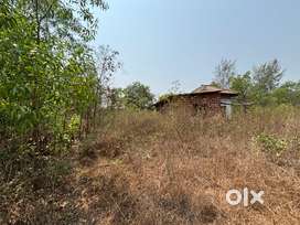 10 Gunthe N/A Plot