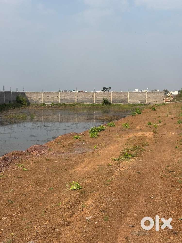 15,000 sq ft plot for sale (investment, farmhouse etc)