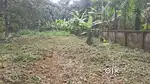 Urgent sale 10cent house Plot  in varadharapilly