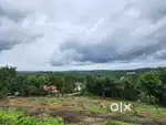 10 Acre Hilly Land for Sale in Puthenkurish Ernakulam 4.5 lakhs/Cents