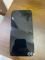 iPhone 13 Pro Max 256GB