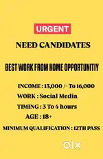 BEST WORK FROM HOME OPPORTUNITY