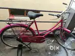 New ladies cycle Good condition