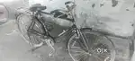 New shakel hai