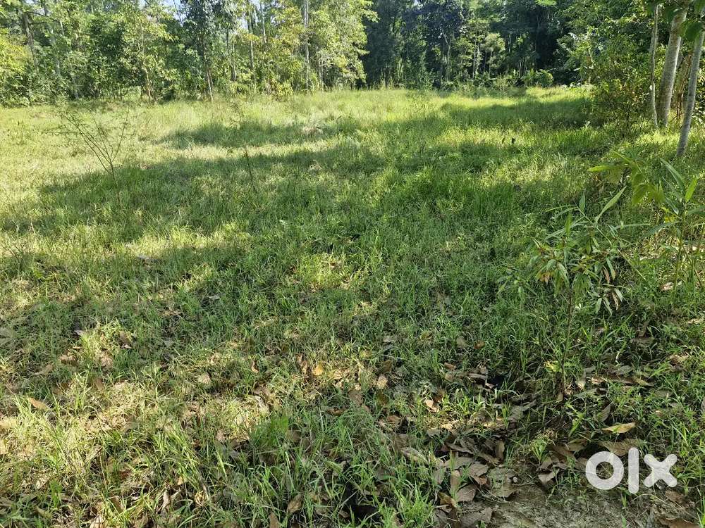 Plot For Urgent Sale