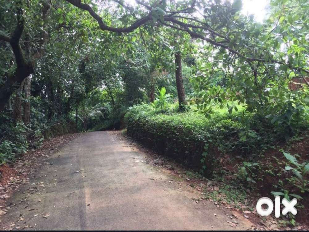 Square plot for sale, ideal for housing