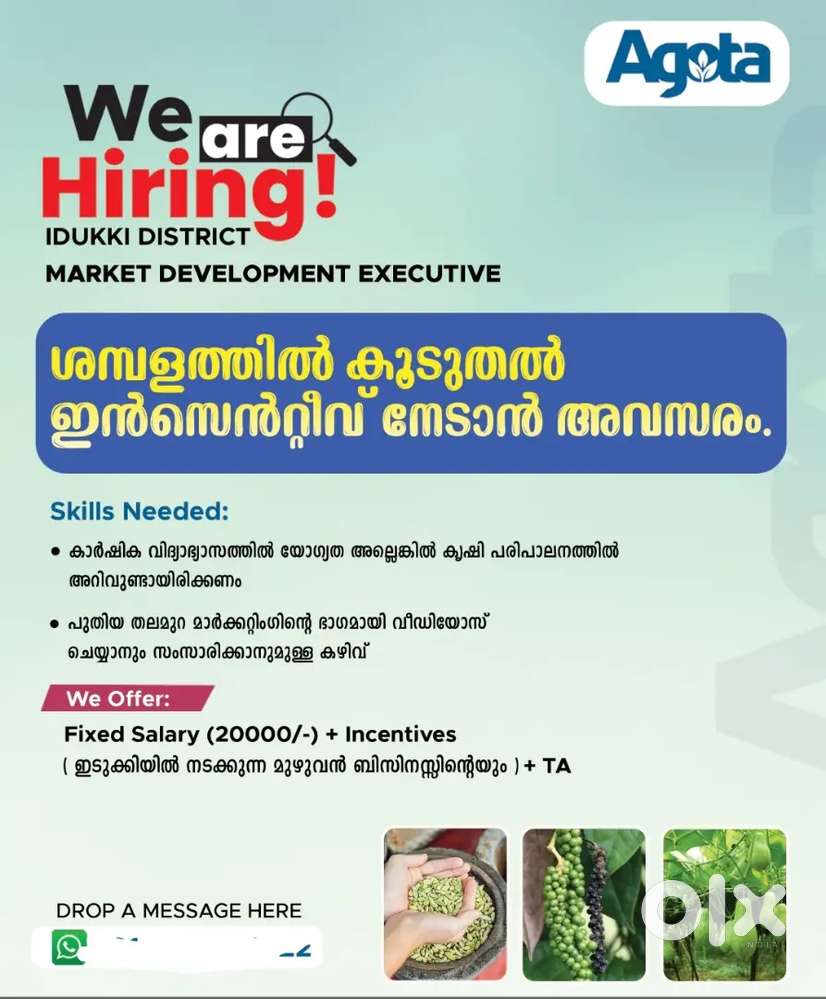 Market development executive