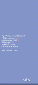 Big basket company  work profile (picker) location sector 45 noida