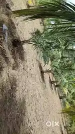 3.15 Acre for Sale at Minnapalayam - Elumathur PO - Erode