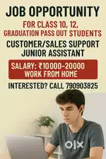 Customer support executive