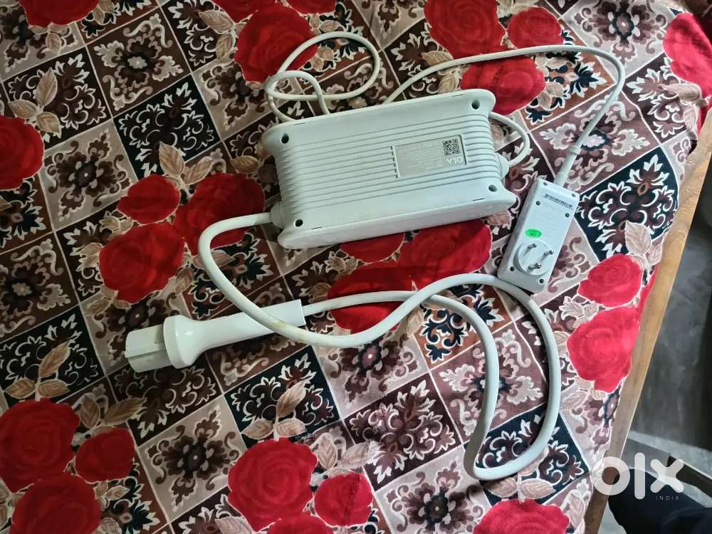 Ola S1 pro original charger