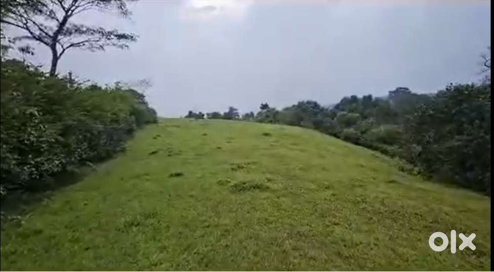 3 Acre Beautiful Hill View Land for Sale – Sakleshpur