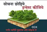 Hamare pass jewar tappal sohna loni me 50 gaj se 500 gaj tak ke plot h