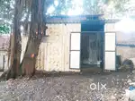 Bopodi on Rent