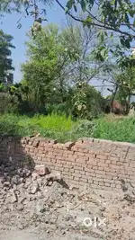 Plot available for sale,
