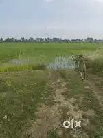 Saaf suthra jameen hai