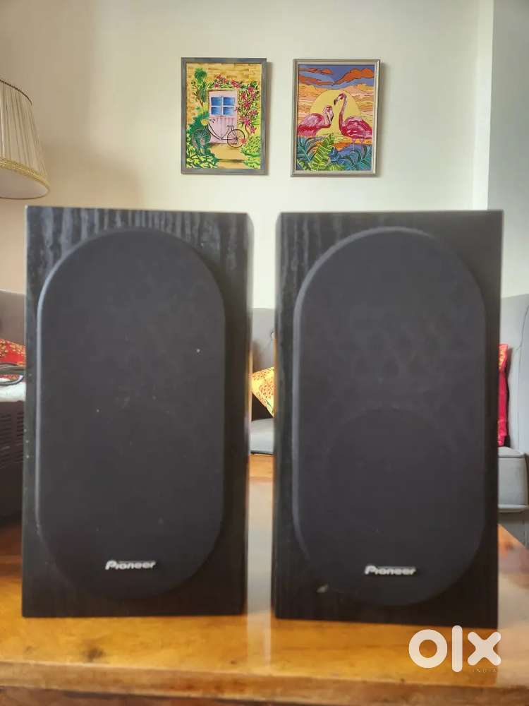 Pioneers bookshelf speakers (pair)
