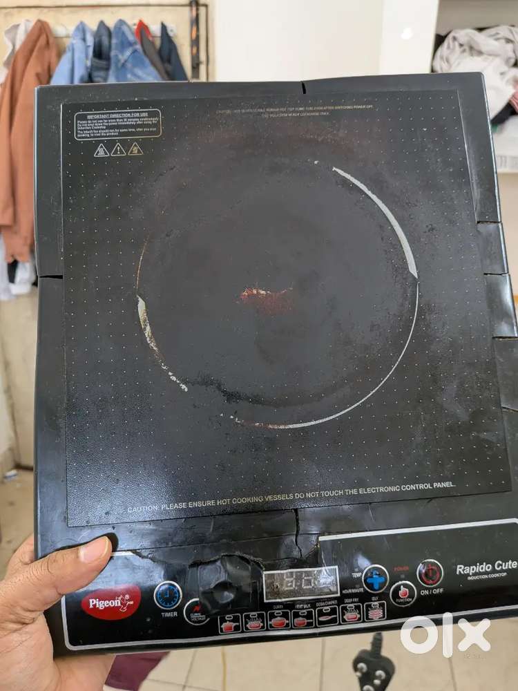 Pigeon Induction with bill