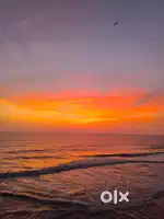 Cook and waiters required for a cafe on North cliff varkala