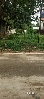 Land and plot