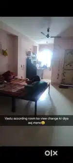 Need roommate
