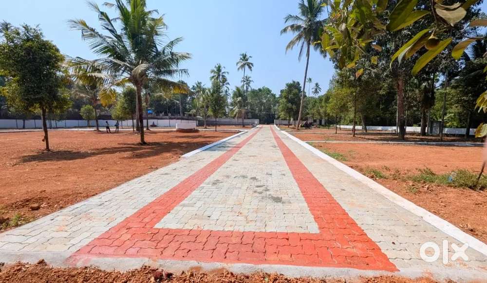 METS College Mala Ashtamichira Villa Plots-Easy Loan ₹ 3L Down Payment