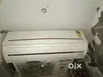 Voltas and semsem are kandisanr