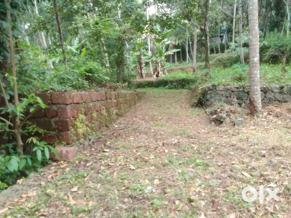 10 Cent Plot for sale Near CALICUT AIRPORT JUNCTION KOLATHUR