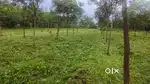 1 acre plain land for sale