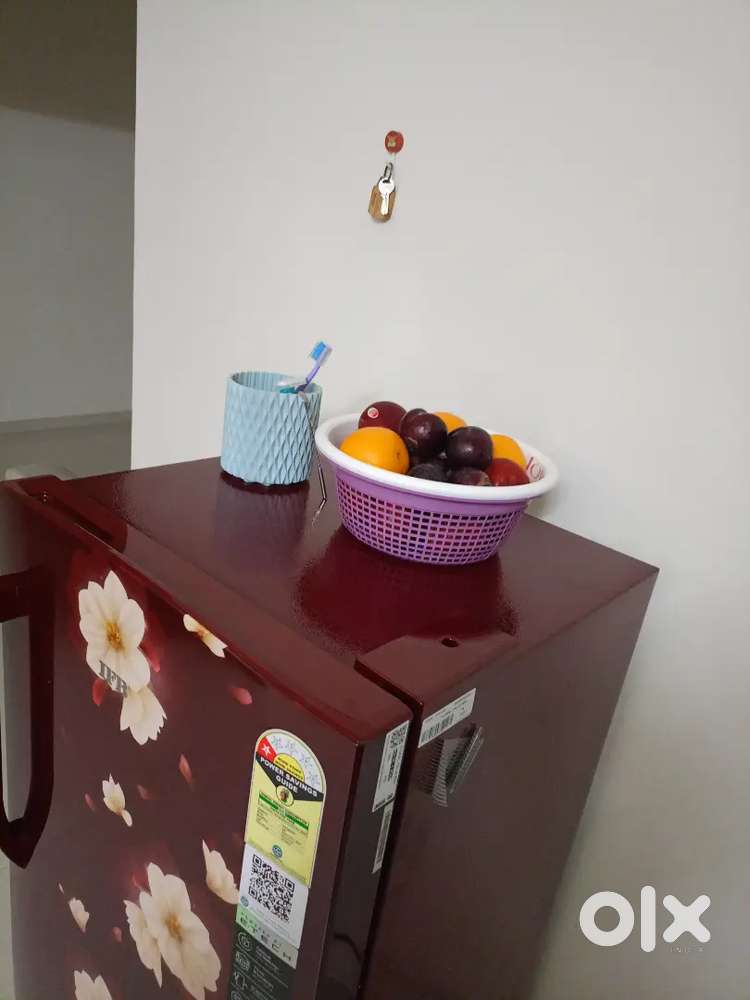 Brand new fridge 265 letre