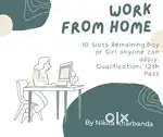 Work From Home  Flexible Hours  High Earning Potential