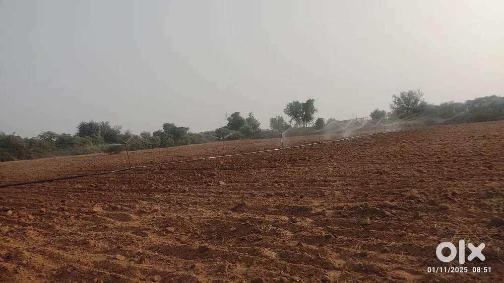 Agriculture land 16 bigha