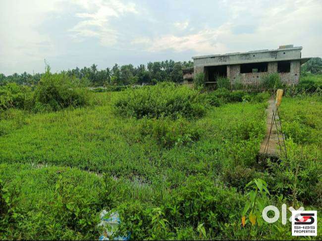 Plot for sale in Pezhumkara, Palakkad