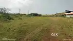 2 Acres Land on Rent at Pathardi