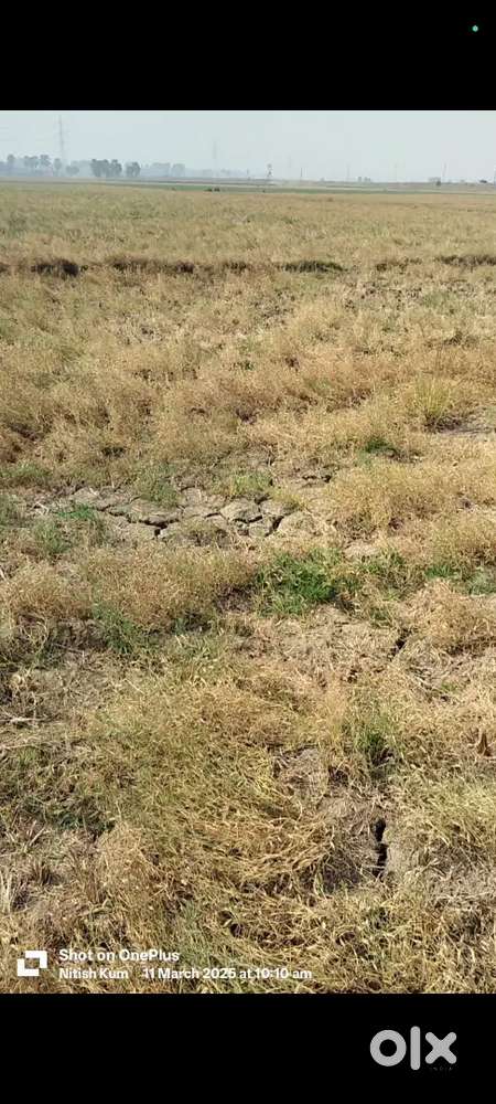 Sarmera se 2km highway se 500 mitter catroad