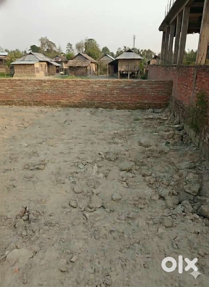 Ek Kotha Myadi Patta mati bikri kora hobo Majorati Chariali t