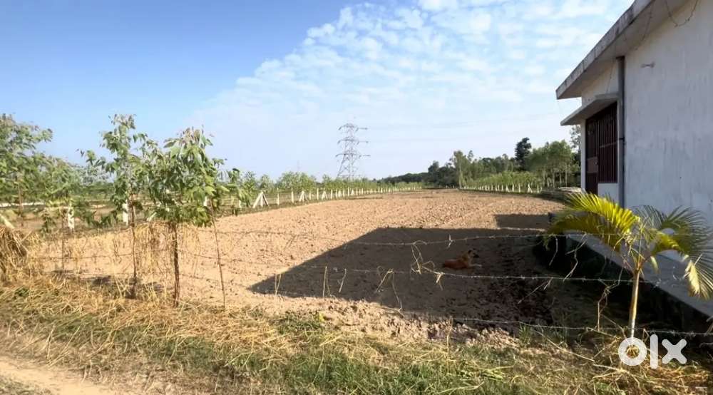 Plots and lands avelible in best price