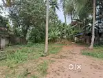 Plot for sale