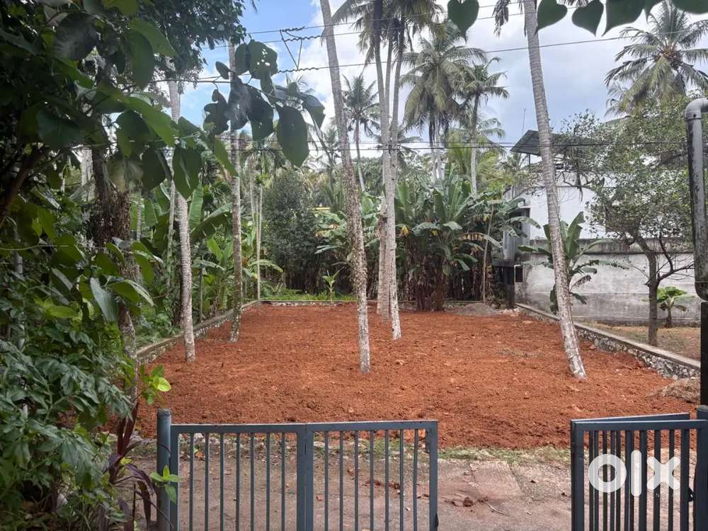 8 Cent Land For Sale Mudavanmugal junction