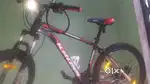 Kross Cross globate
