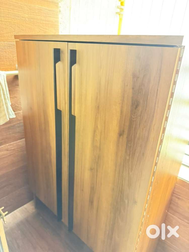 Shoe Rack cum Mini wardrobe