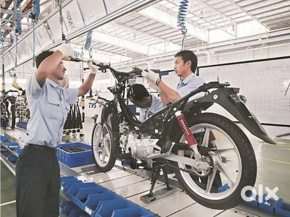 Were hiring freshers for job