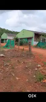 Cashew Factory for Sale