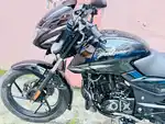 1900 Km Driven Pulsar 125.