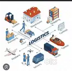 Data entry & logistcs lady staff
