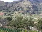 Proper Settlement land