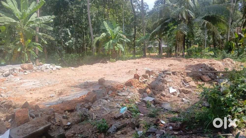 11 cent plot for sale