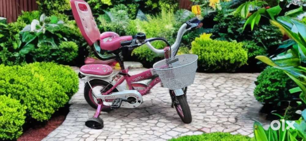 VAUX Angel Kids Bicycle